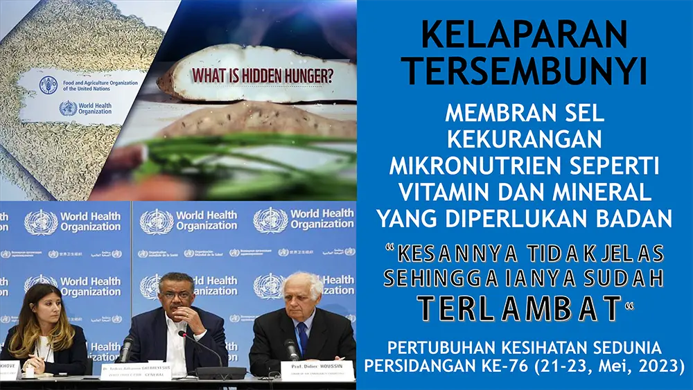 Piramid Makanan