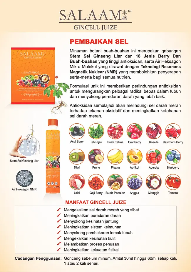 Piramid Makanan